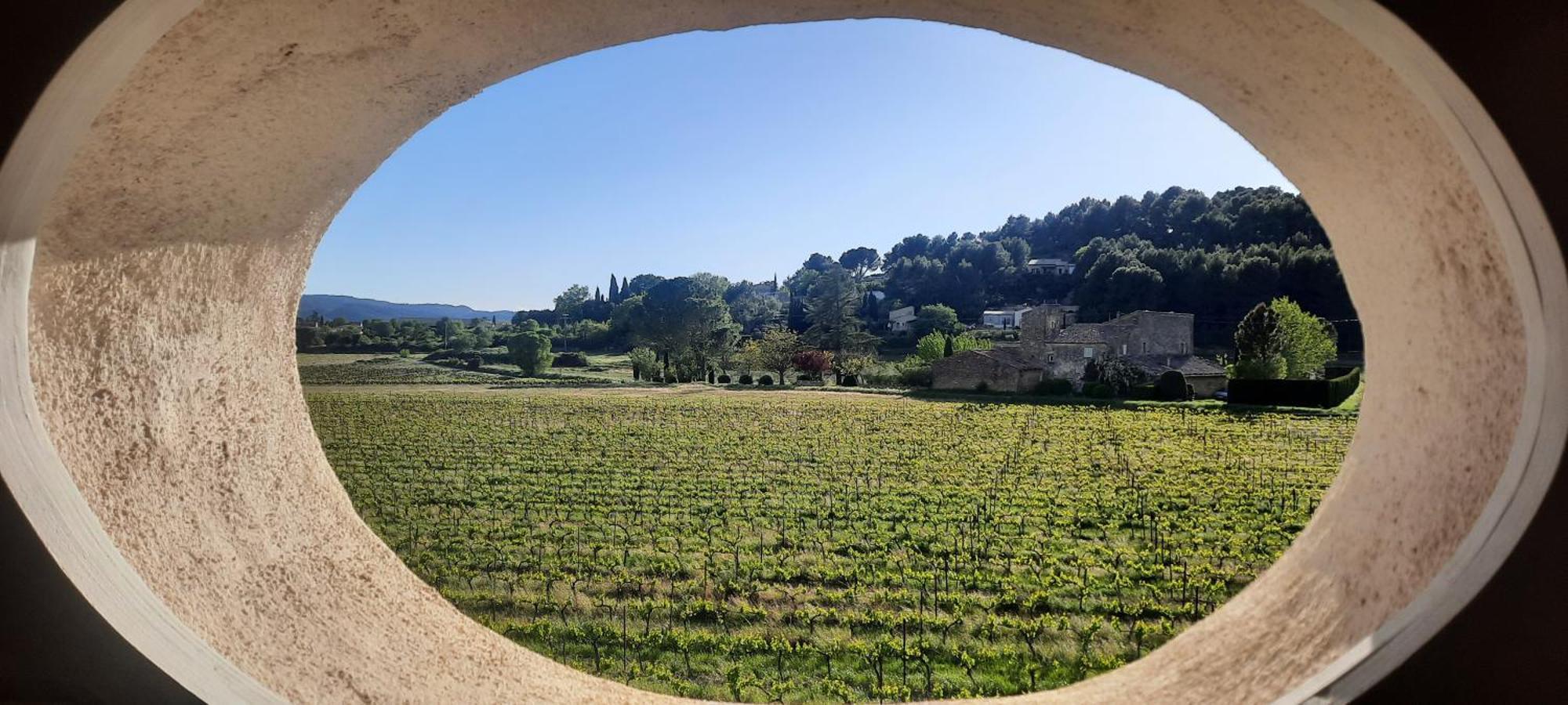 Domaine Des Francobelges - Appartements Lauris Pokoj fotografie